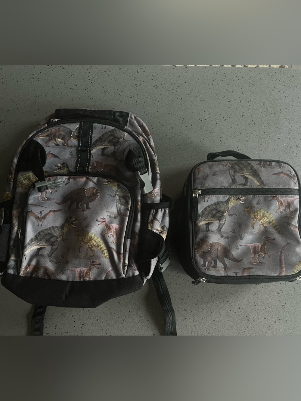 Pottery Barn Kids Dinosaur Print Gray Kids Backpack and Lunch Bag Set